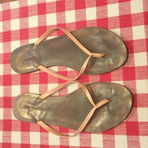 Ann Taylor flip flops